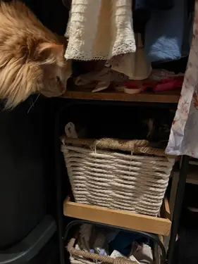 Aurore - annonce trans à Houplin-Ancoisne