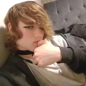 Nicole - annonce trans à Langon